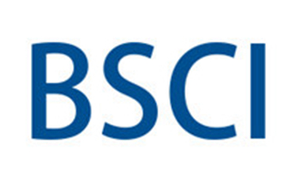 bsci验厂